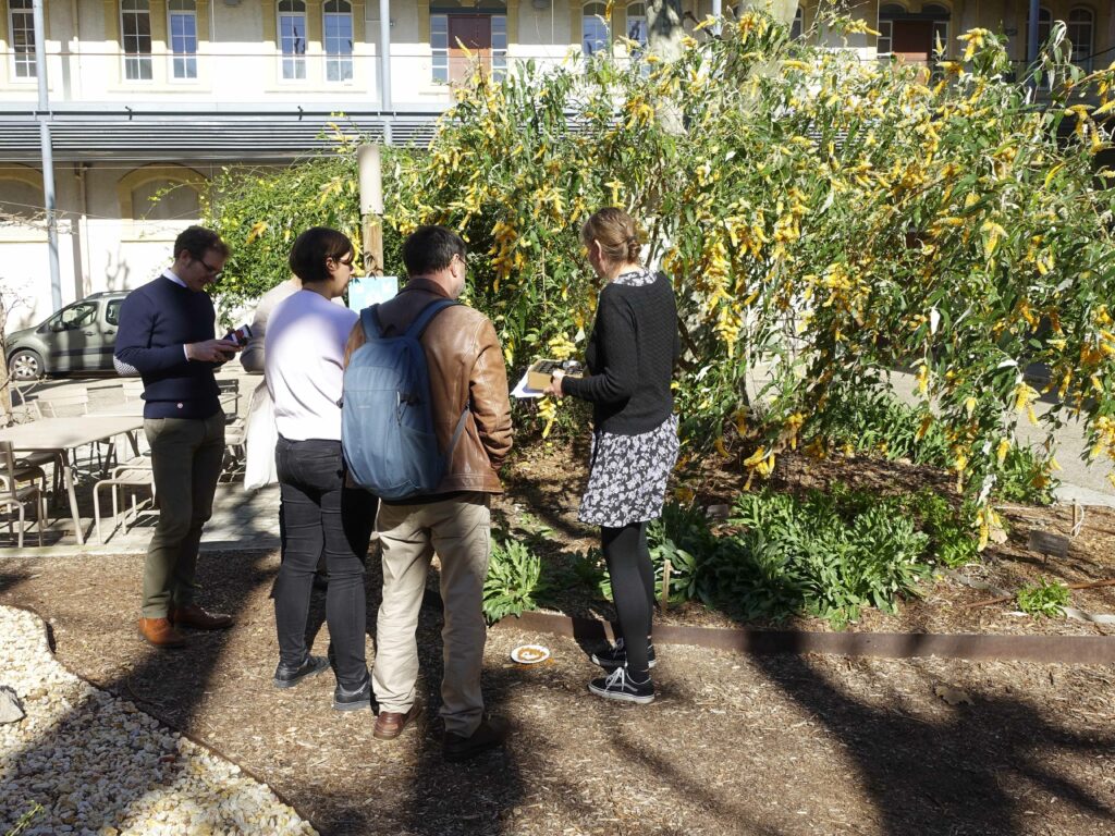 Jardin du CICRP